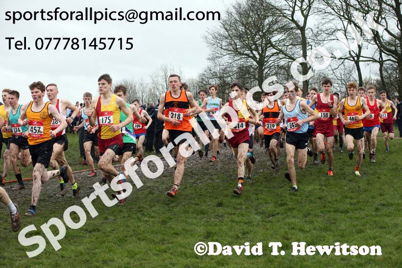 Senior boys 2019 New Balance English Schools Cross Country Champs, Temple Newsam, Leeds. Photo:  David T. Hewitson/Sports for All Pics